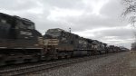 Dash Nines In Tow